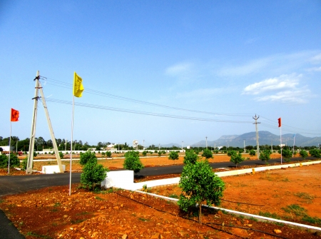 5) Li Id : 150 - Pic : 6.JPG